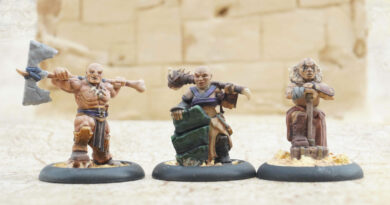Characters : Dwarfs fighters